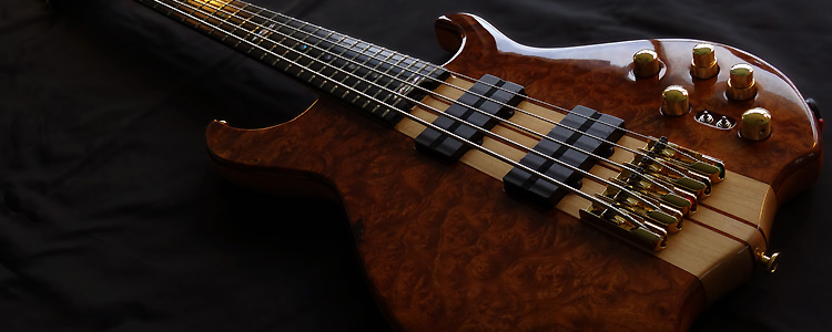 Africa-I 5 strings | Deluxe version with Elm burl
