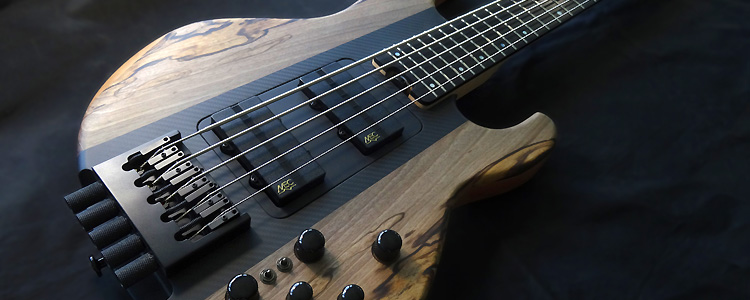 Session Bass 5 strings (Headless) | Spalted walnut tops