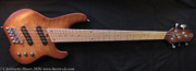 Stage Bass - www.huort-ch.com
